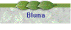 Bluna