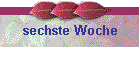 sechste Woche