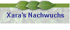 Xara's Nachwuchs